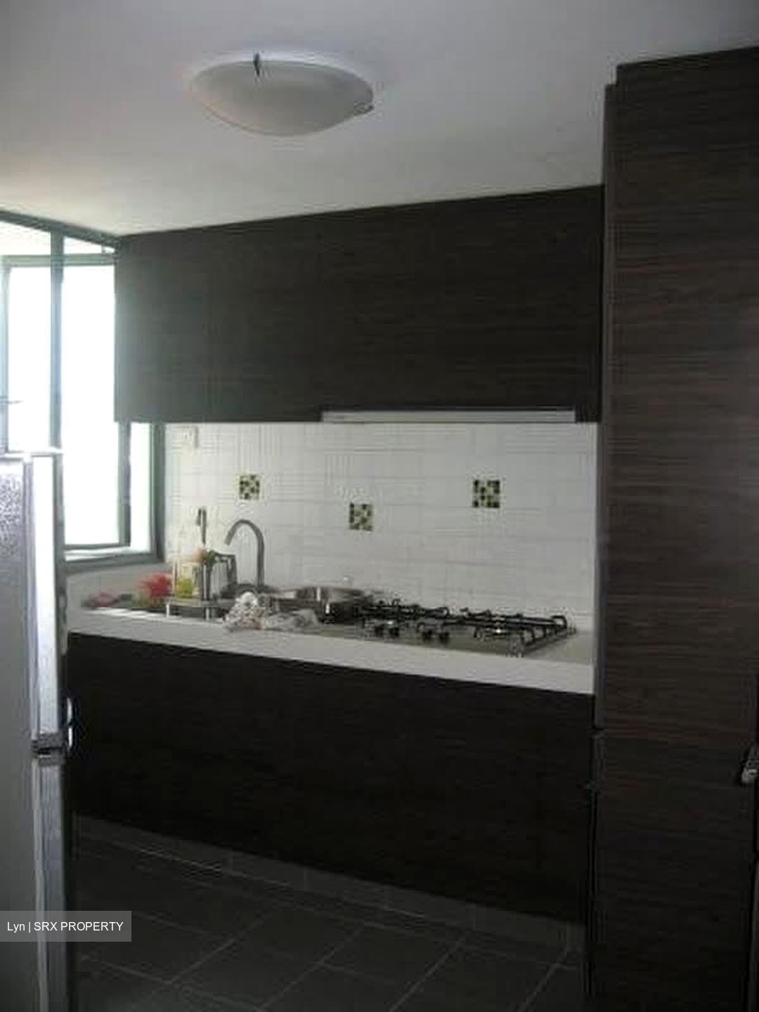 Cassia View (D14), Apartment #571207021
